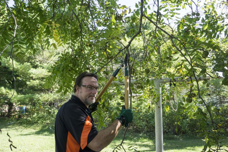 Branches Pruning in Aiken, SC