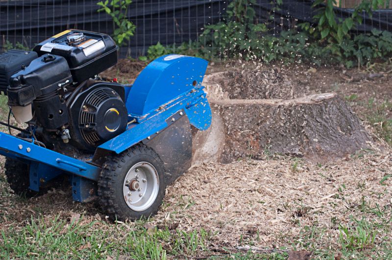 Commercial Stump Grinding in Waldorf, MD