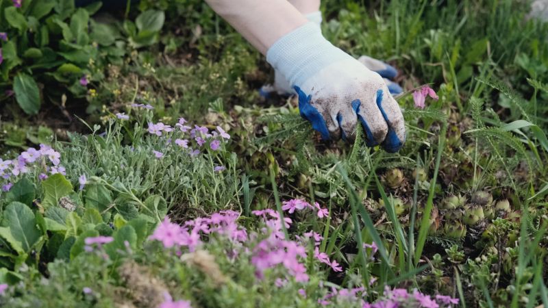 Flower Bed Weeding Service in Aiken, SC