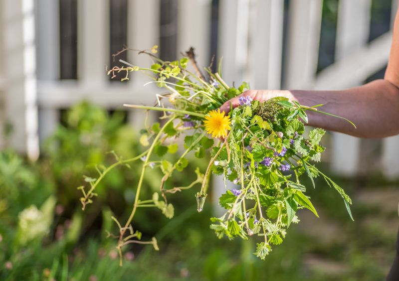 Flower Bed Weeding Service in Aiken, SC