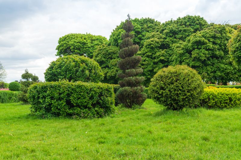 Shrub Shaping in Honolulu, HI