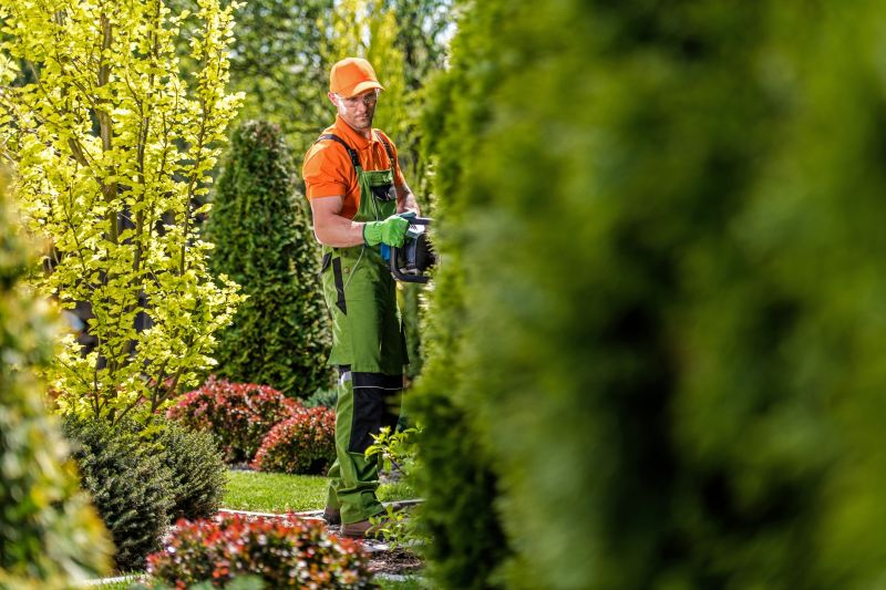 Shrub Trimming in Rockwall, TX