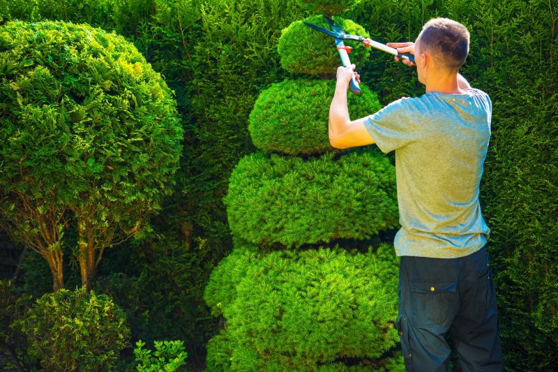 Shrub Trimming in Aiken, SC