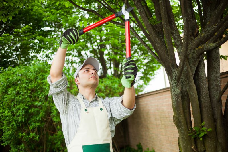 Customized Tree Maintenance
